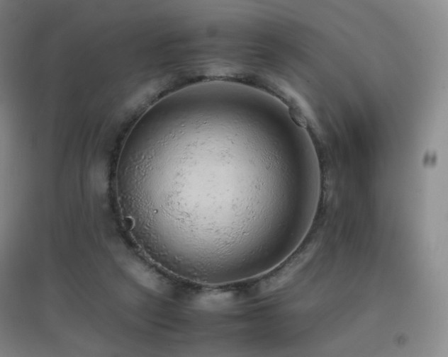 X0000096700257200802051418