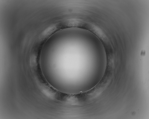X0000096700258200802051418