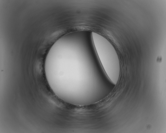 X0000096700259200802051418