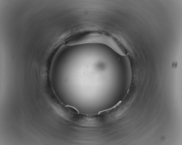 X0000096700260200802051418