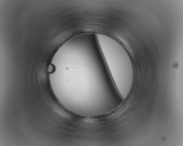 X0000096700261200802051418