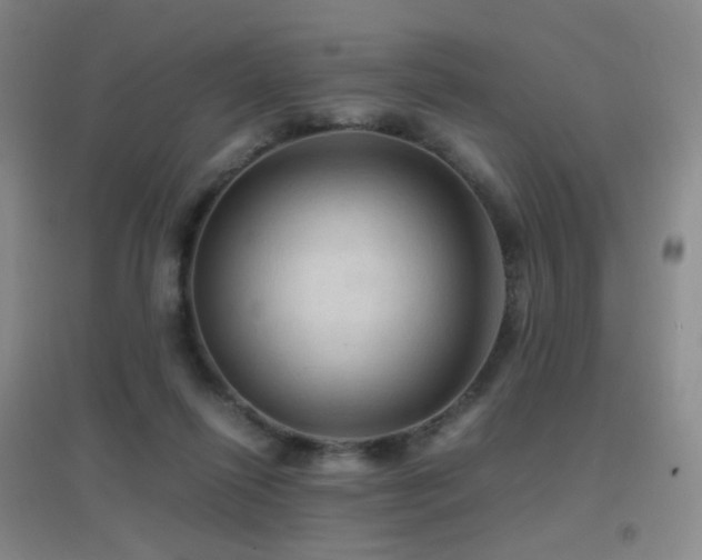 X0000096700262200802051418