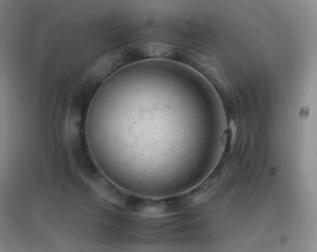 X0000096700263200802051418