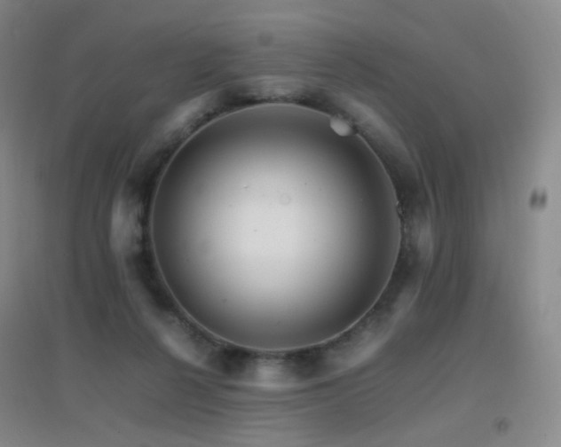 X0000096700264200802051418