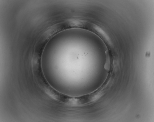 X0000096700265200802051418