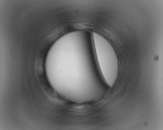 X0000096700267200802051418