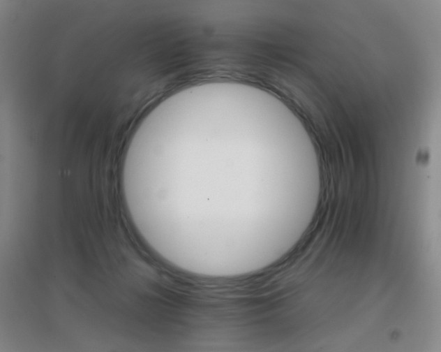 X0000096700268200802051418