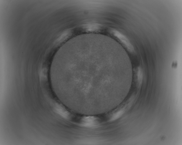 X0000096700269200802051418