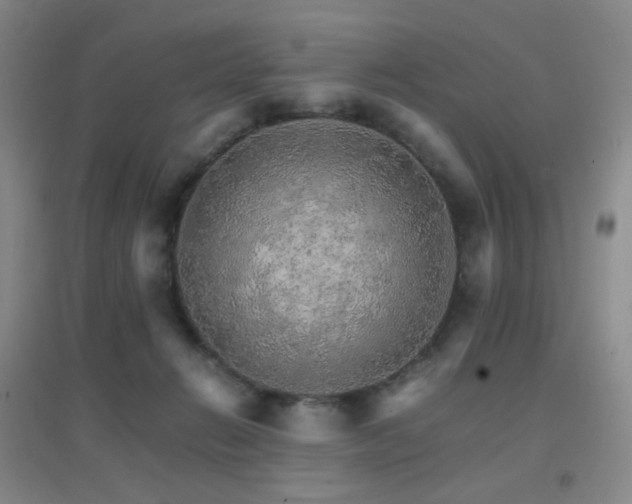 X0000096700270200802051418