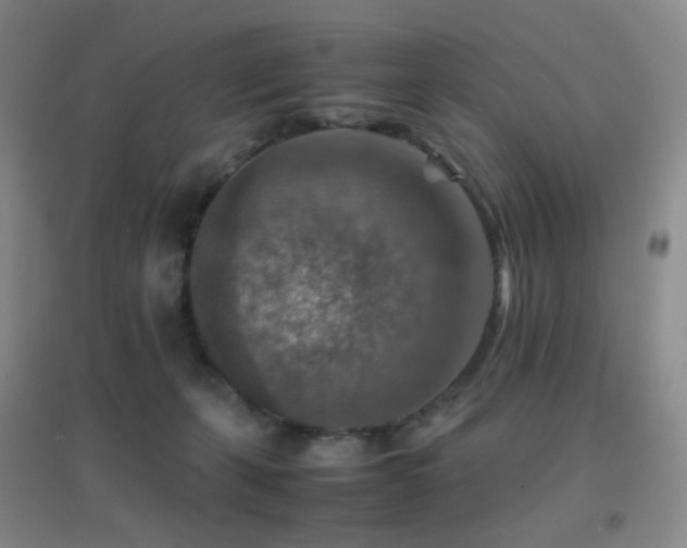 X0000096700271200802051418