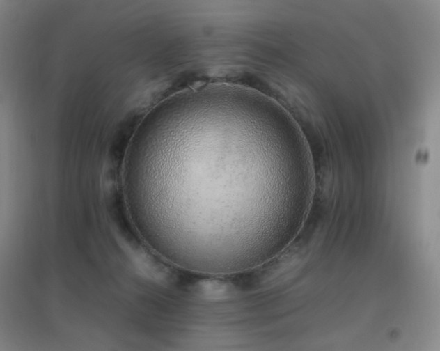 X0000096700272200802051418