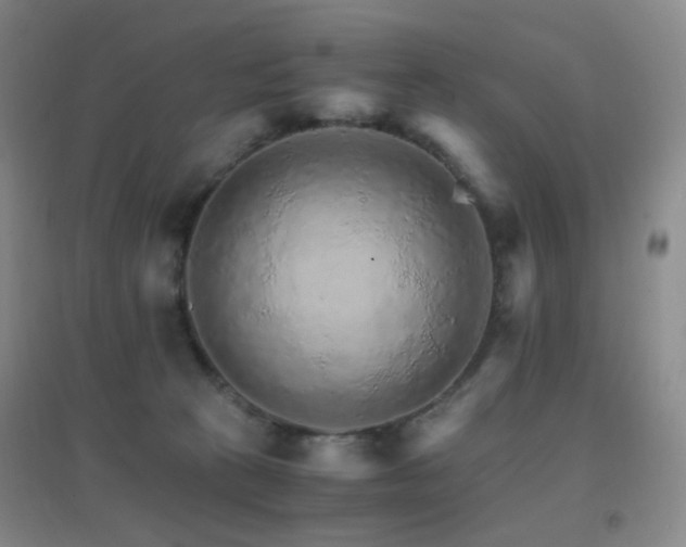 X0000096700273200802051418