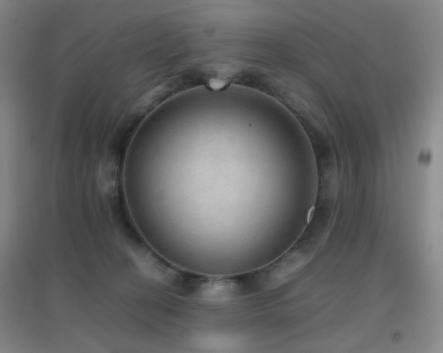 X0000096700274200802051418