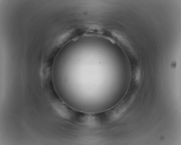 X0000096700276200802051418