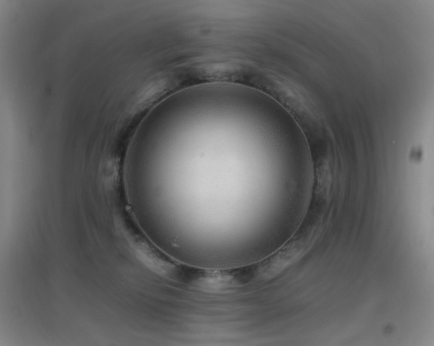 X0000096700278200802051418