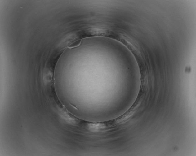 X0000096700281200802051418