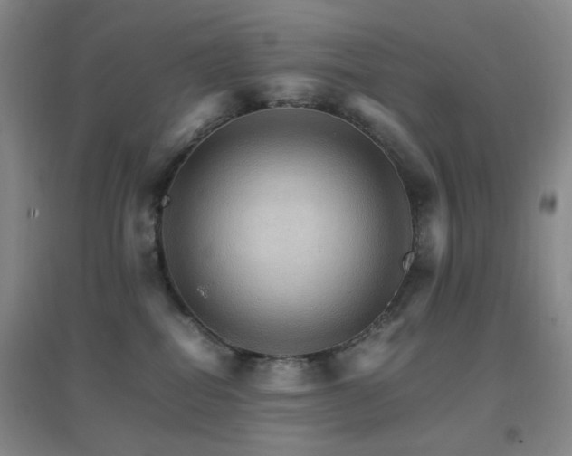 X0000096700282200802051418