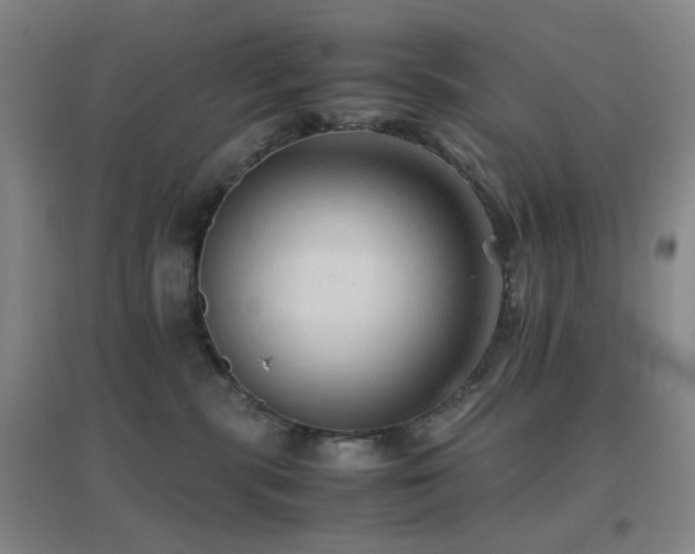 X0000096700283200802051418