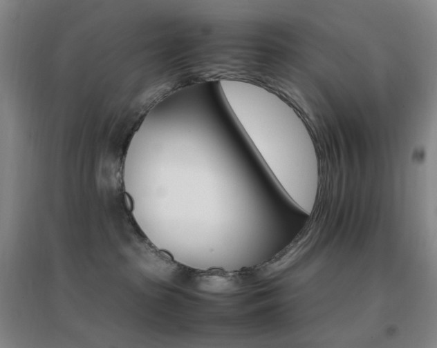 X0000096700285200802051418