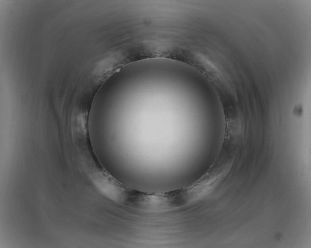 X0000096700286200802051418