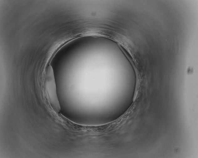 X0000096700289200802051417
