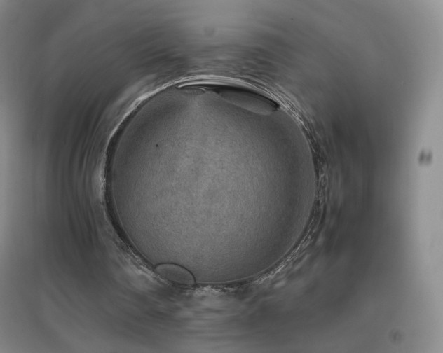 X0000096700290200802051417