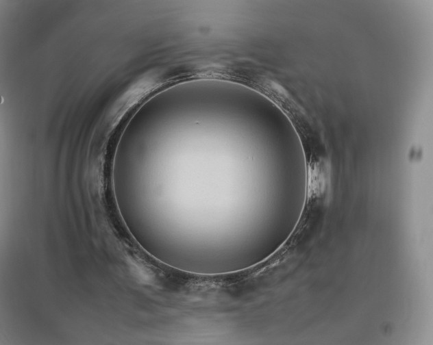 X0000096700291200802051417