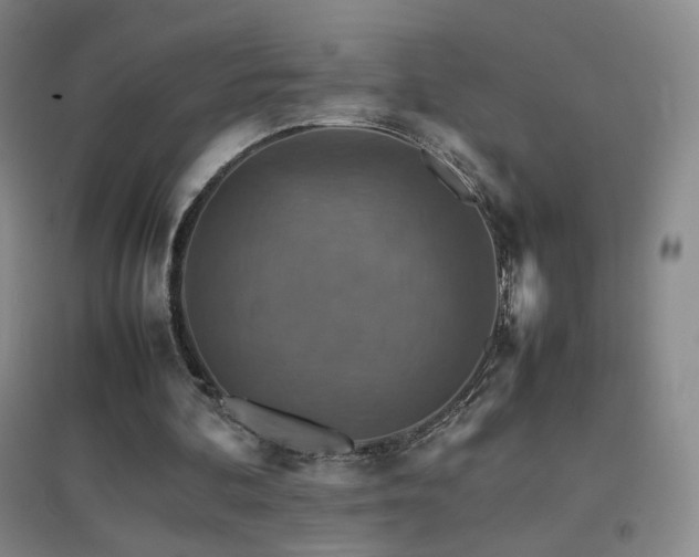 X0000096700292200802051417