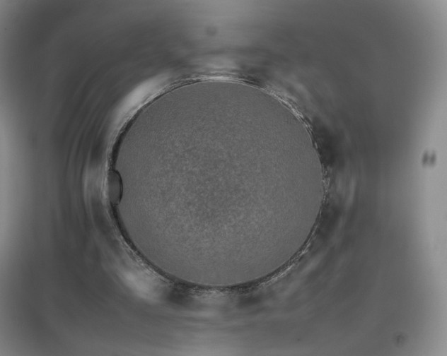 X0000096700293200802051417