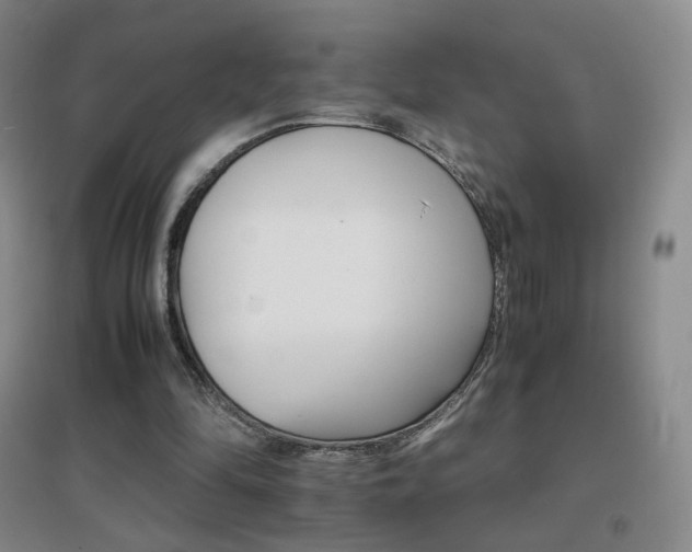 X0000096700294200802051417