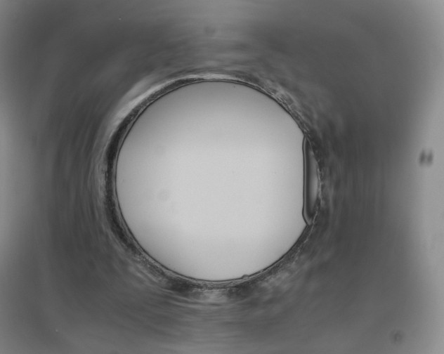X0000096700295200802051417