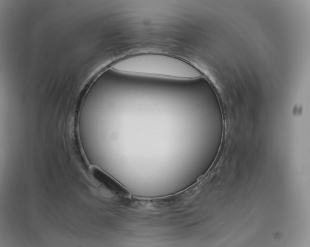 X0000096700297200802051417