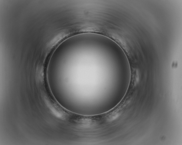 X0000096700298200802051417