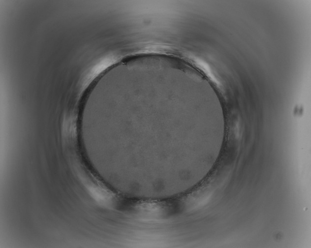 X0000096700299200802051417