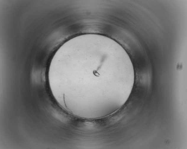 X0000096700302200802051417