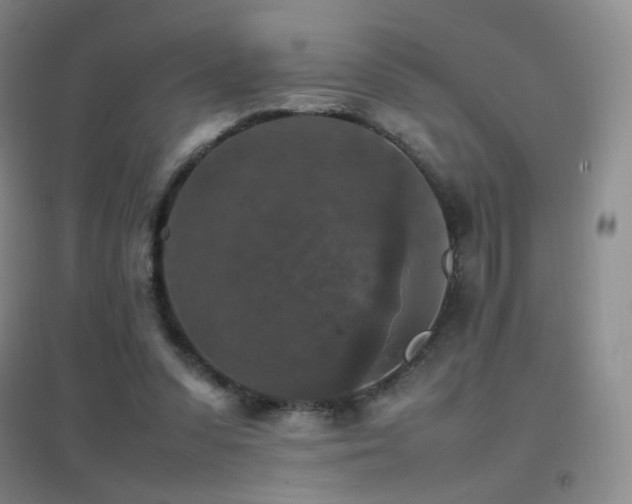 X0000096700303200802051417