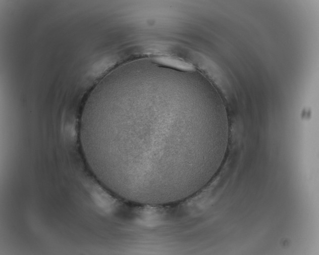 X0000096700305200802051417