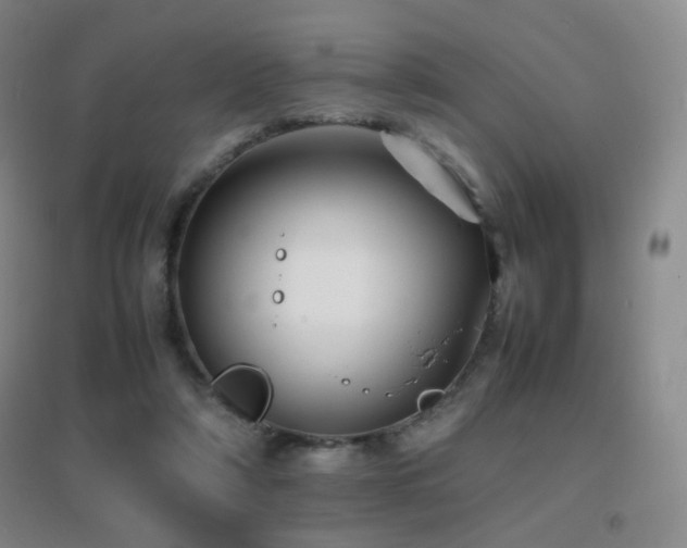 X0000096700306200802051417