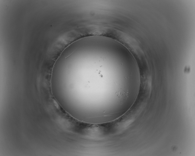 X0000096700307200802051417