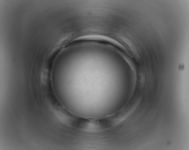 X0000096700308200802051417