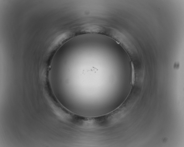 X0000096700309200802051417