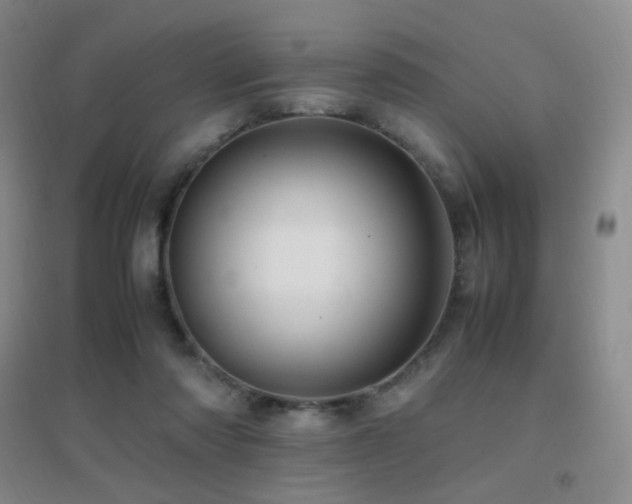 X0000096700310200802051417