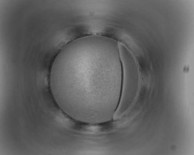 X0000096700313200802051417