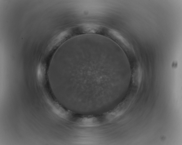 X0000096700314200802051417