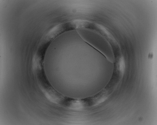 X0000096700316200802051417