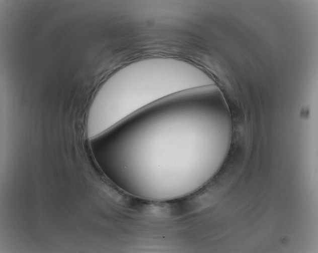 X0000096700317200802051417