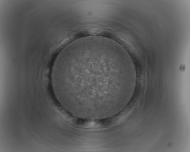 X0000096700319200802051417