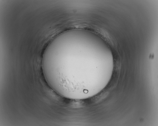 X0000096700321200802051417