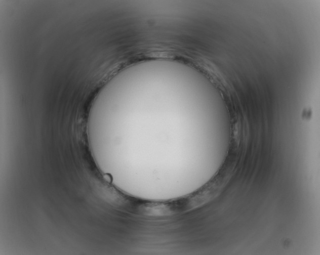 X0000096700322200802051417