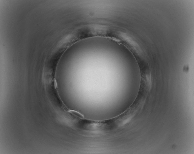 X0000096700323200802051417